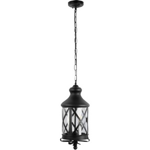 Подвесной уличный светильник IP44 Loft It Ferrara 100020P