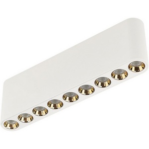 Потолочный линейный светильник Odeon Light Small 7091/21CL белый/металл/акрил LED 21W 3000K 220V