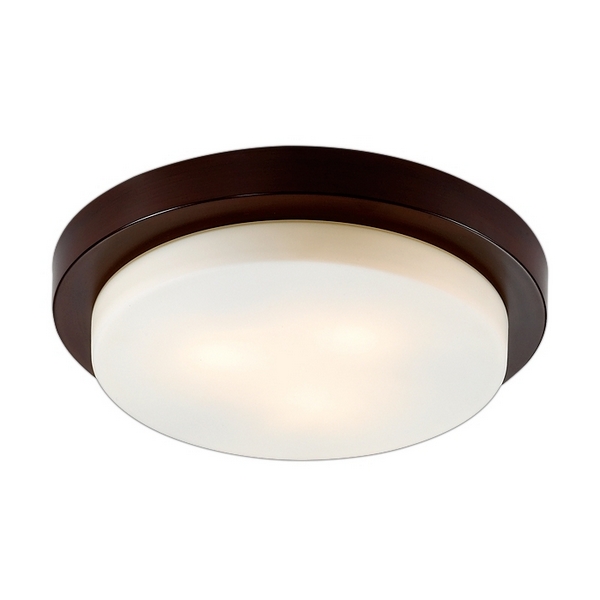 Настенно-потолочный светильник влагозащищенный Odeon Light Holger 2744/3C  фото